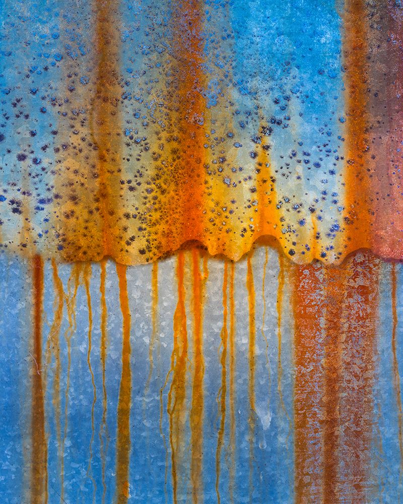 USA, Oregon, Tillamook. Rust patterns on old farm machinery.